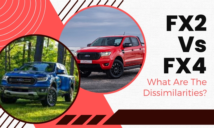 FX2 Vs FX4: What Are The Dissimilarities?